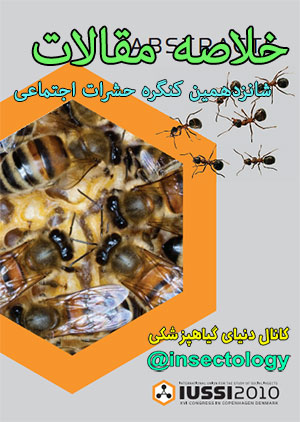 کنگره حشرات اجتماعی
