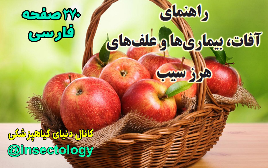 آفات و بیماری های سیب