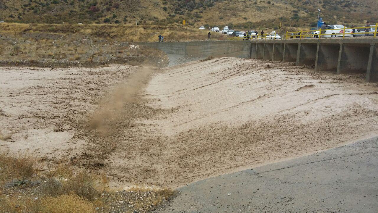 خسارت سیلاب به روستای دشت شهرستان گرمه / تصاویر