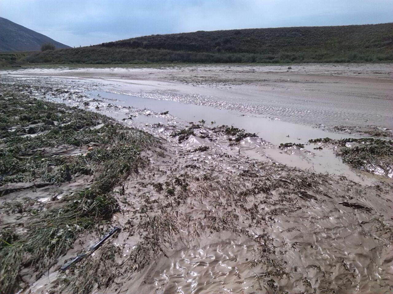خسارت سیلاب به روستای دشت شهرستان گرمه / تصاویر