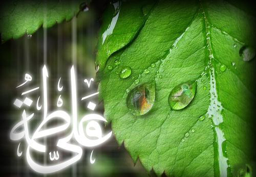 پاسخ به:**پیوند آسمانی**