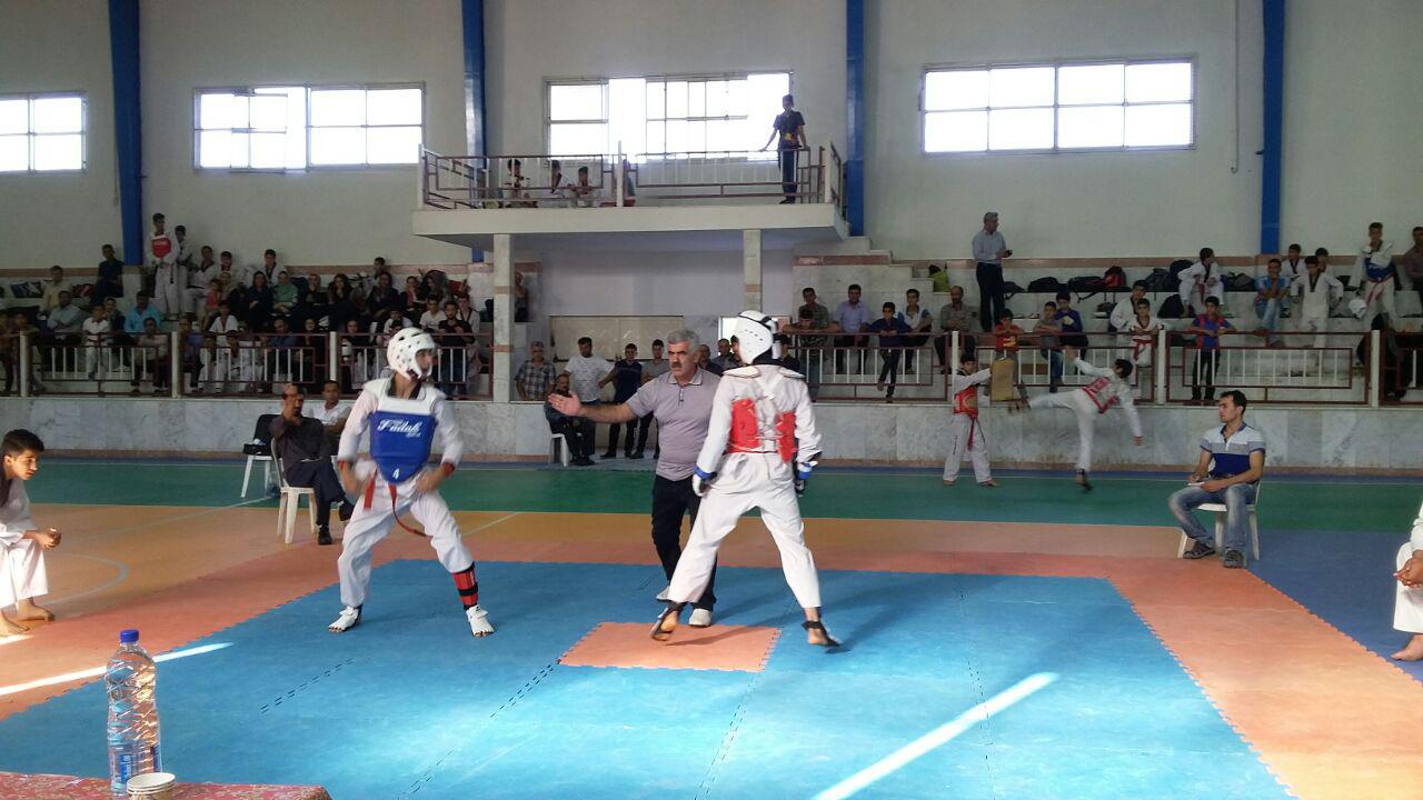 photo_2016_09_11_09_09_20.jpg (1280×720)