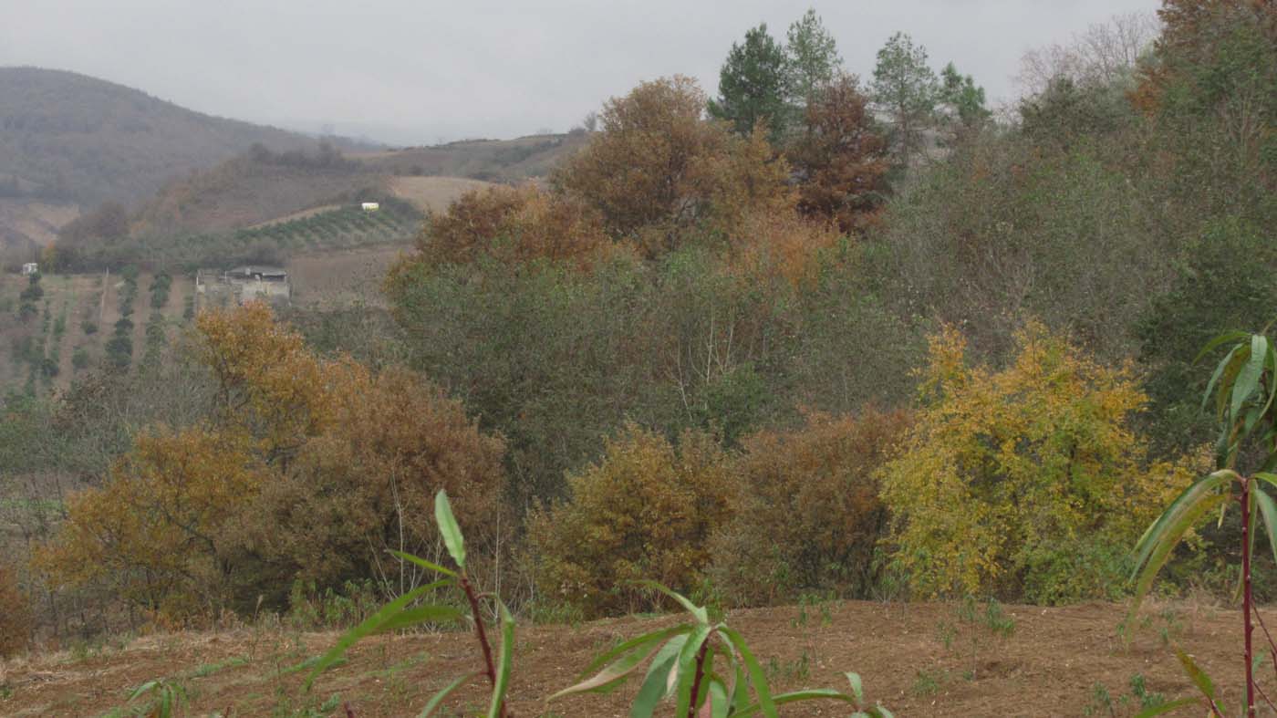 1_12_.jpg (1400×787)