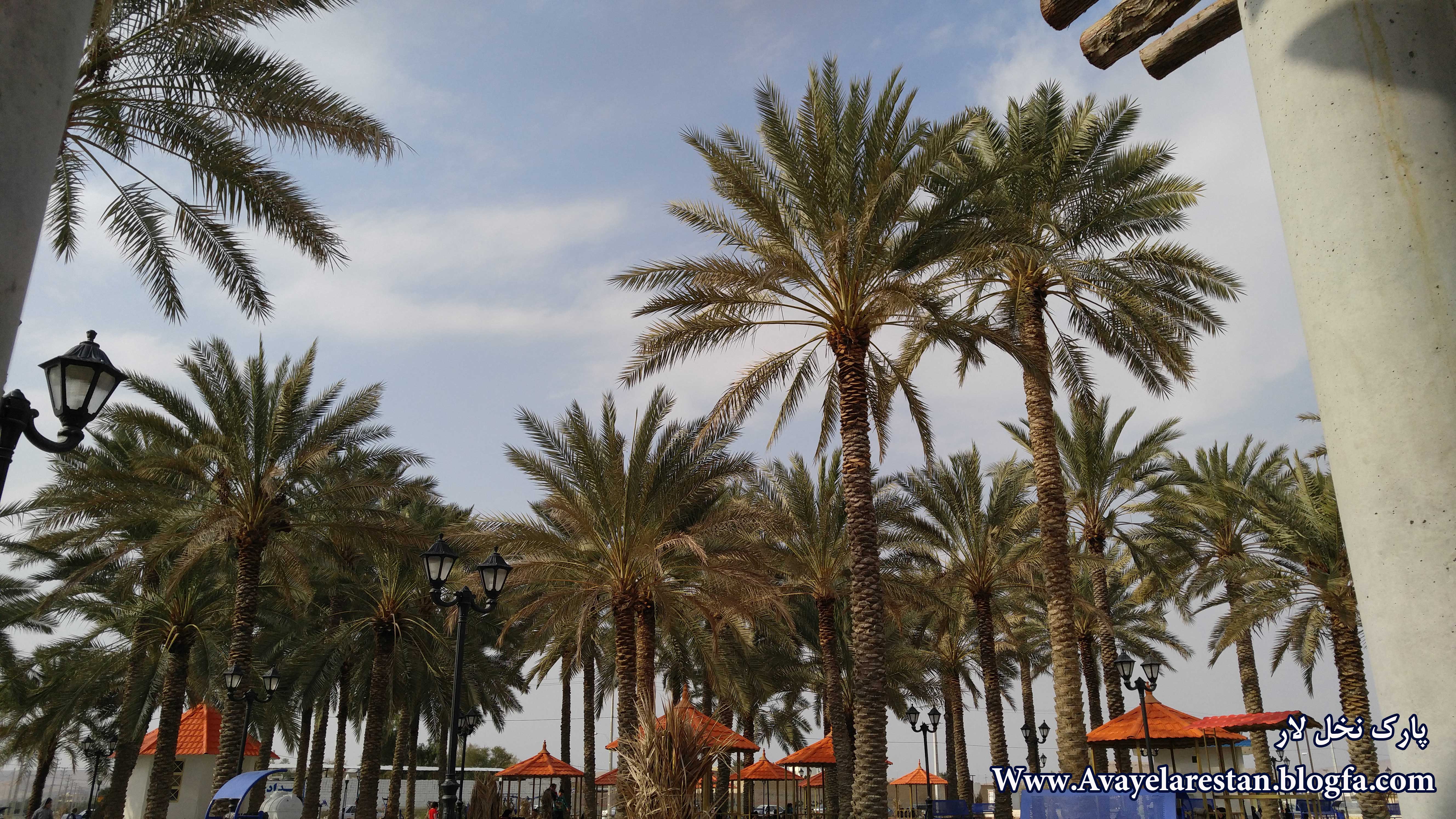 پارک نخل لار