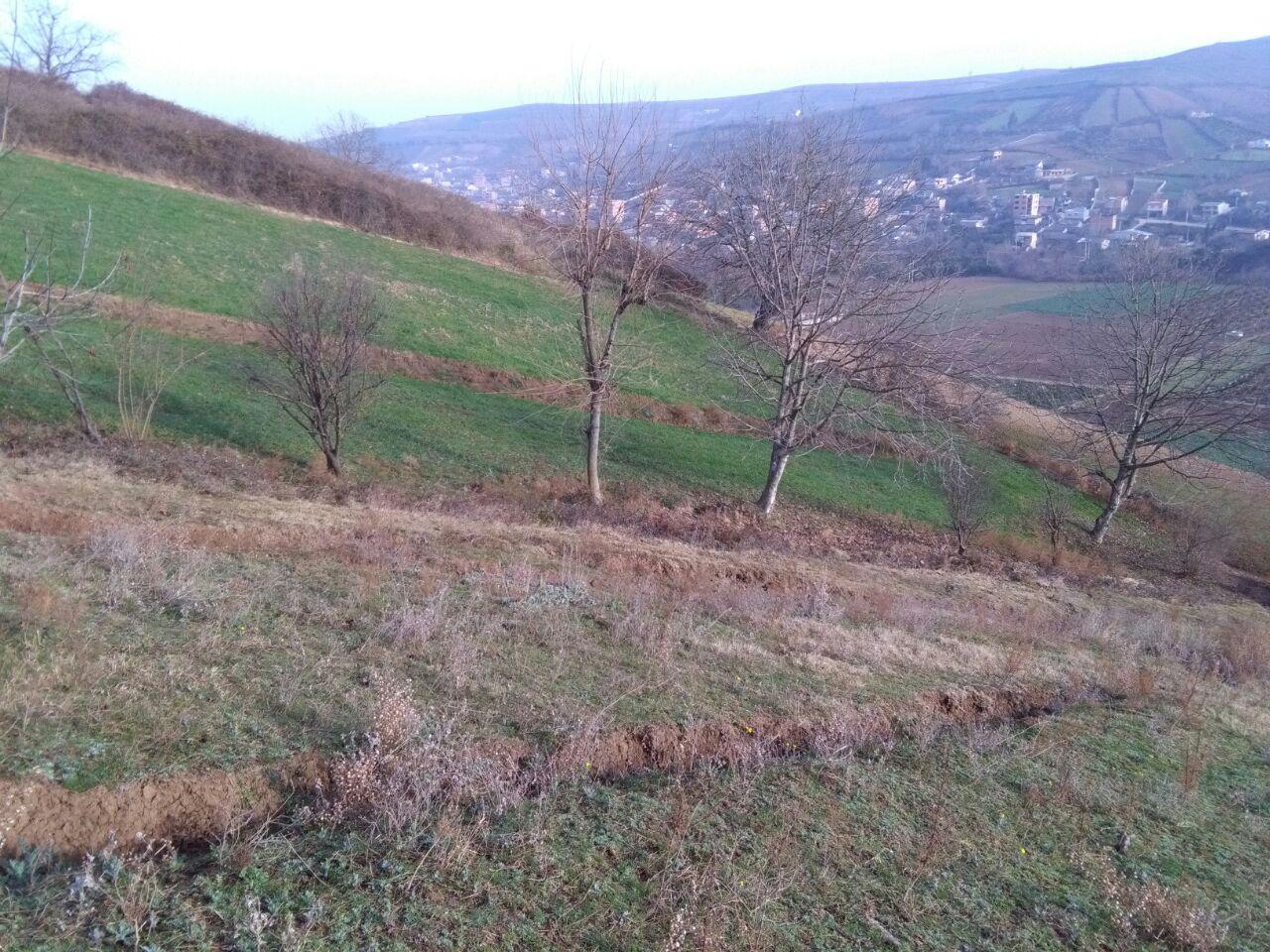 1_6_.jpg (1280×960)