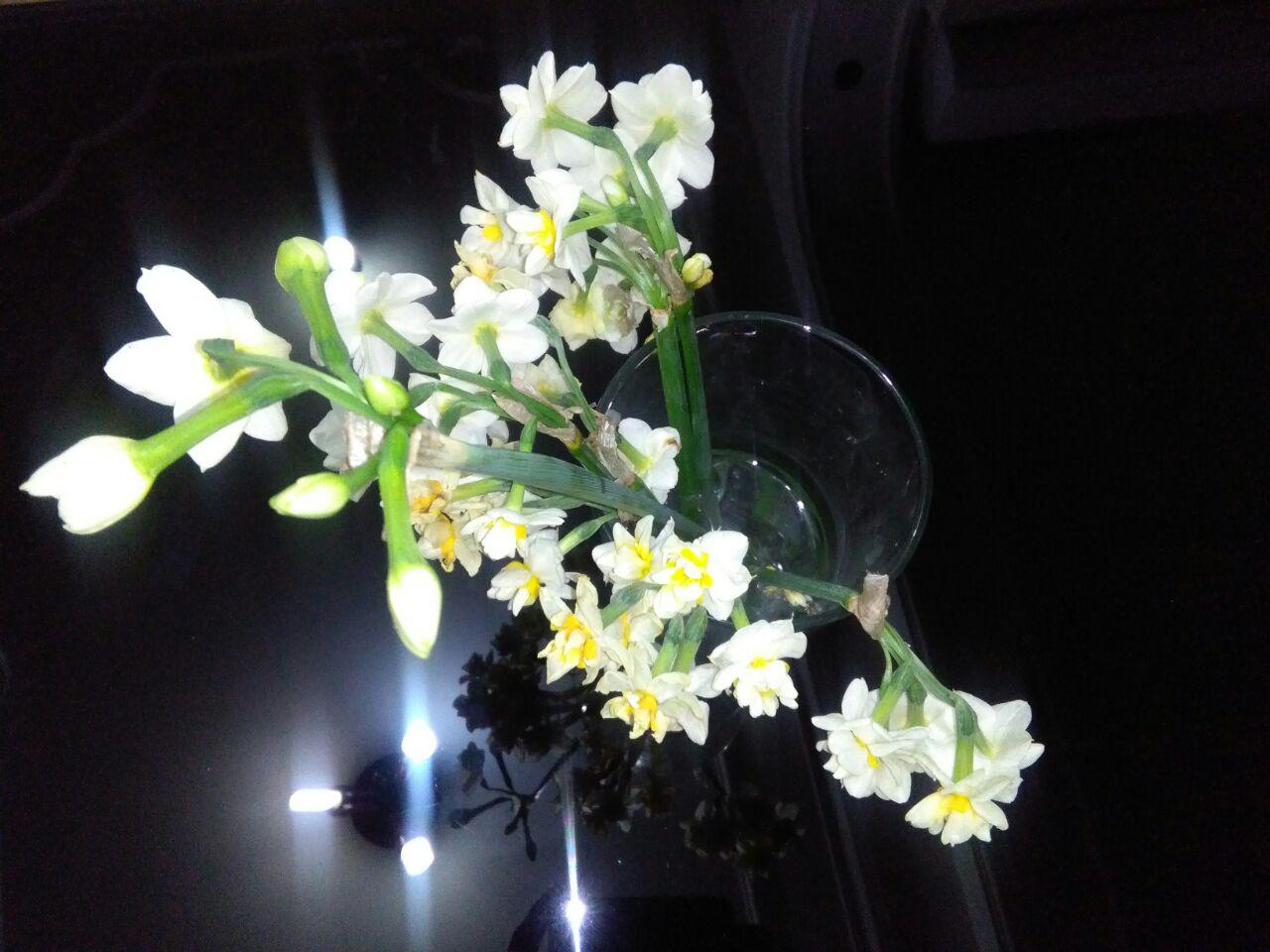 1_24_.jpg (1280×960)