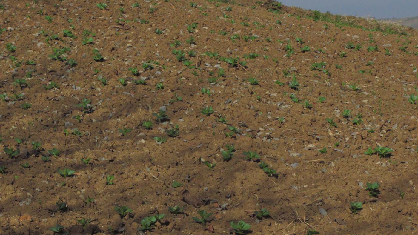 1_34_.jpg (1400×787)