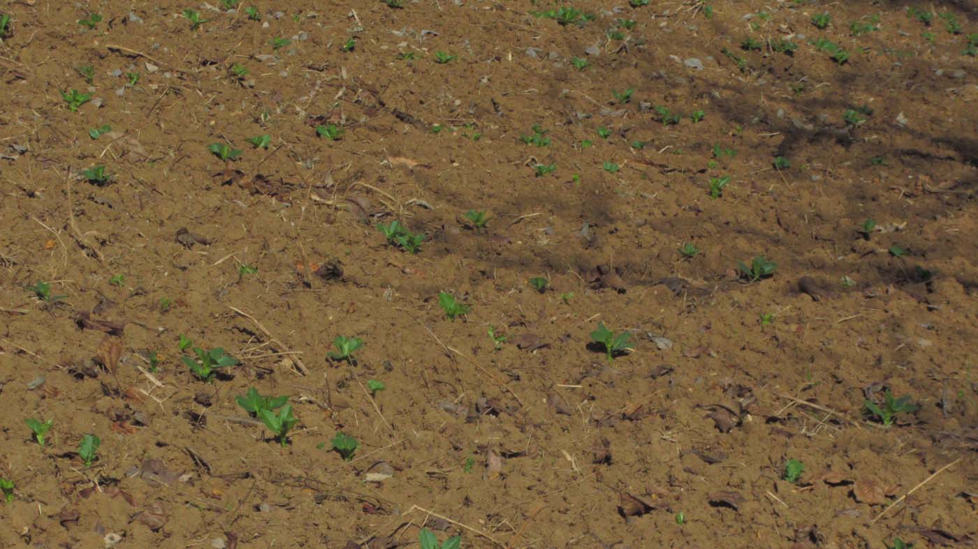 1_35_.jpg (1400×787)