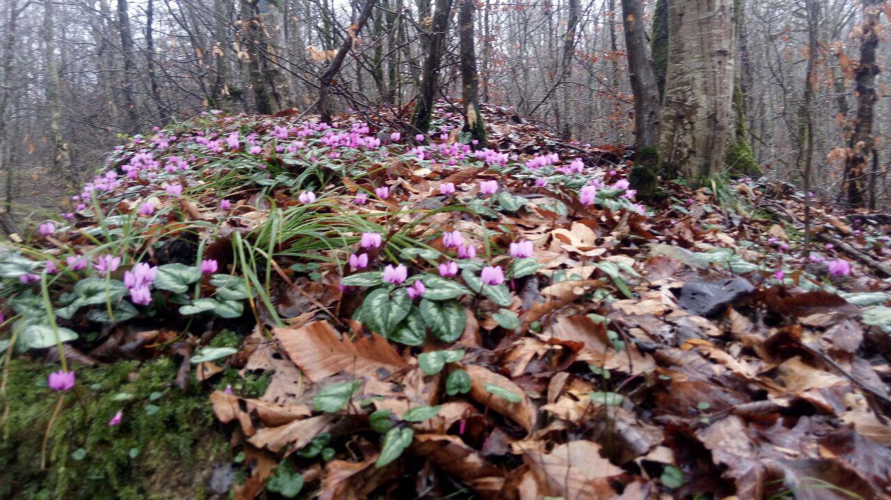 1_3_.jpg (1280×718)