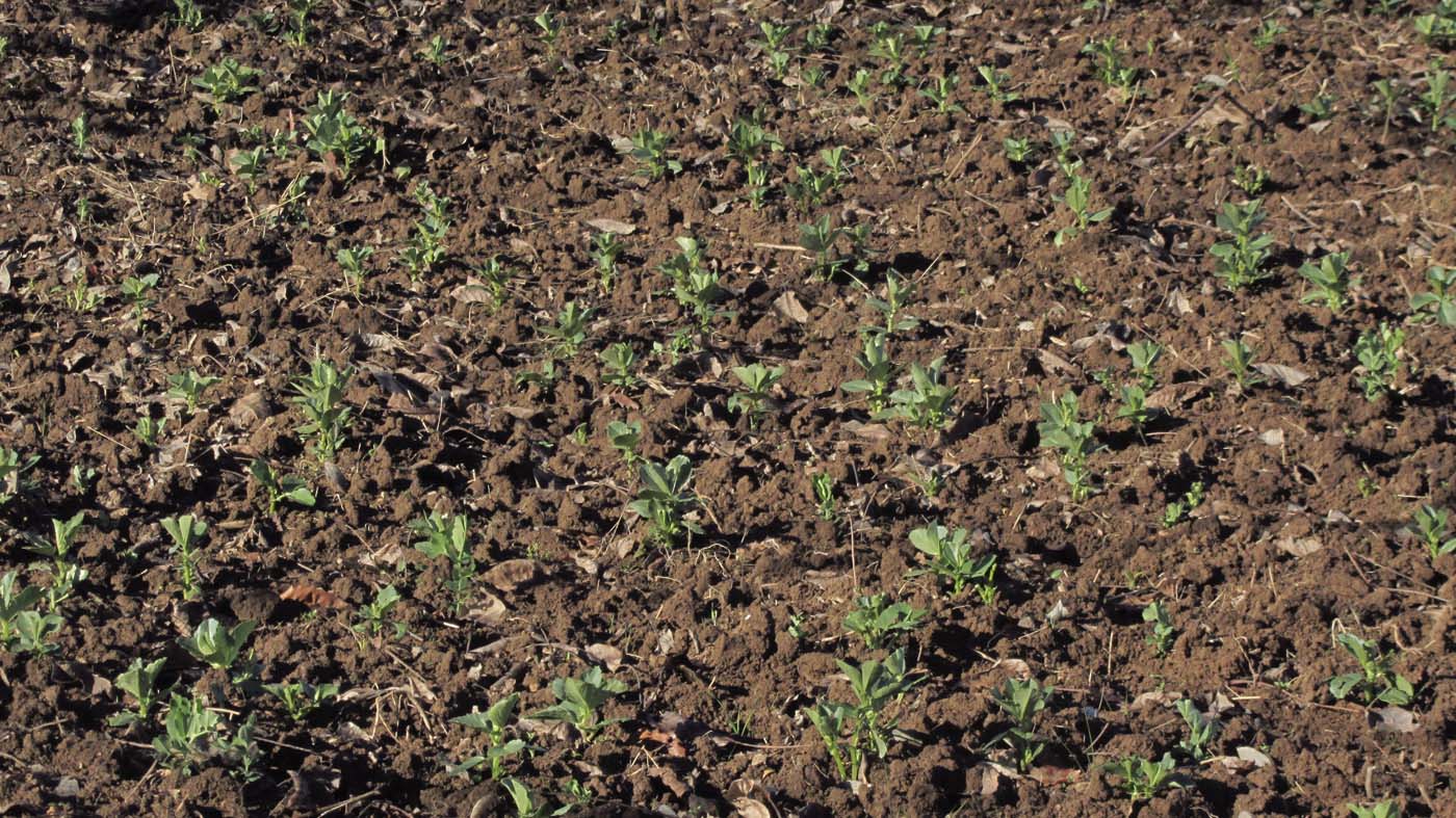 1_1_.jpg (1400×787)