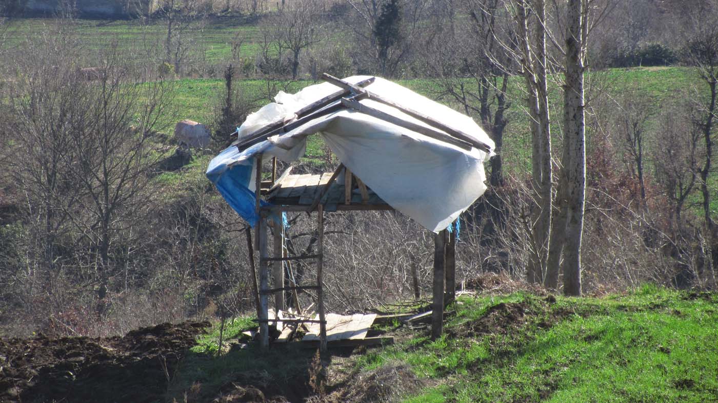 1_18_.jpg (1400×787)