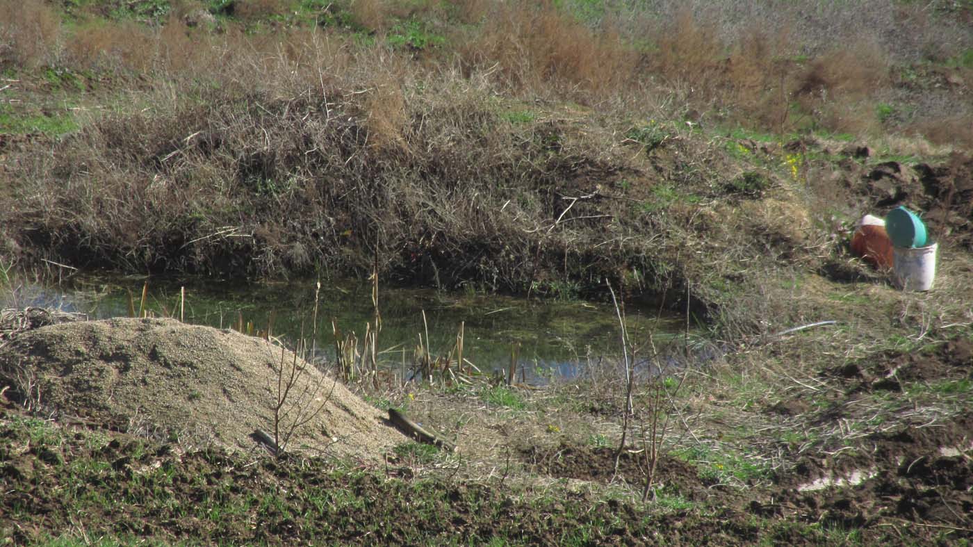 1_19_.jpg (1400×787)