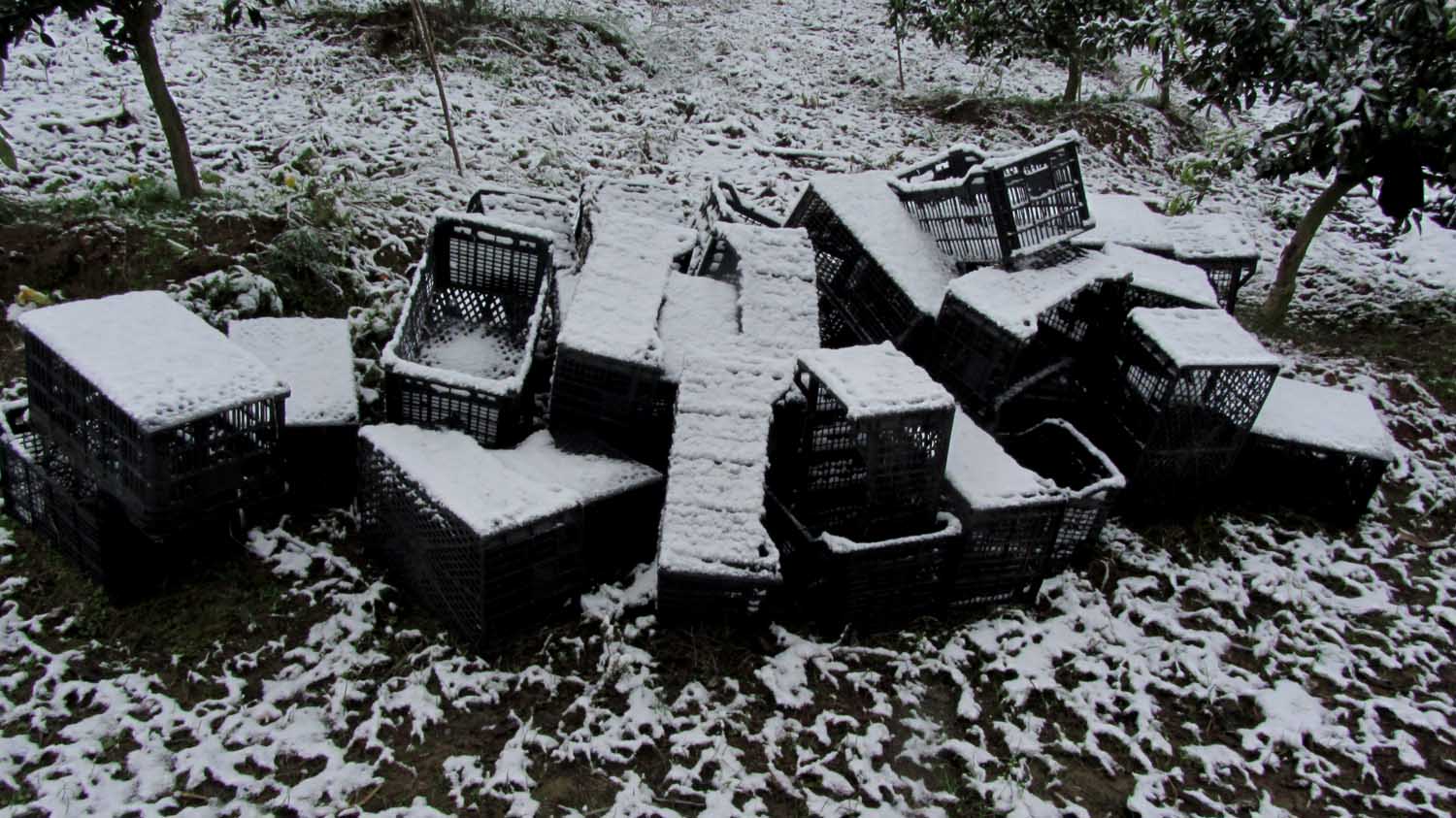 1_24_.JPG (1500×843)