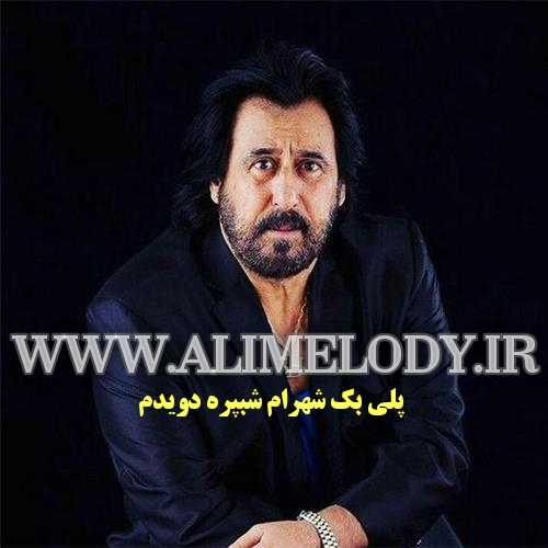 دانلود آهنگ بیکلام شهرام شبپره دویدم