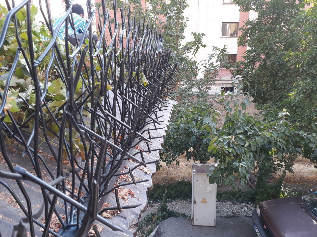 حفاظ قیمت اهواز