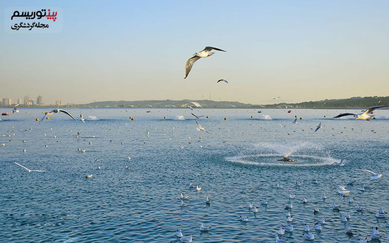دریاچه شهدای خلیج فارس چیتگر