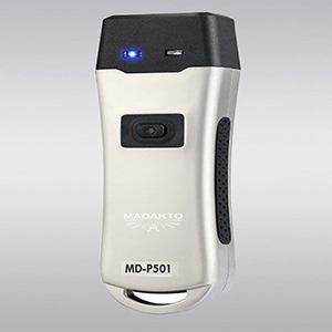 سیستم نگهبانی