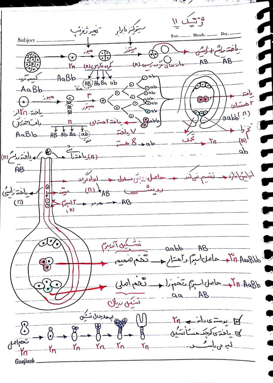 انشا در مورد ژنتیک