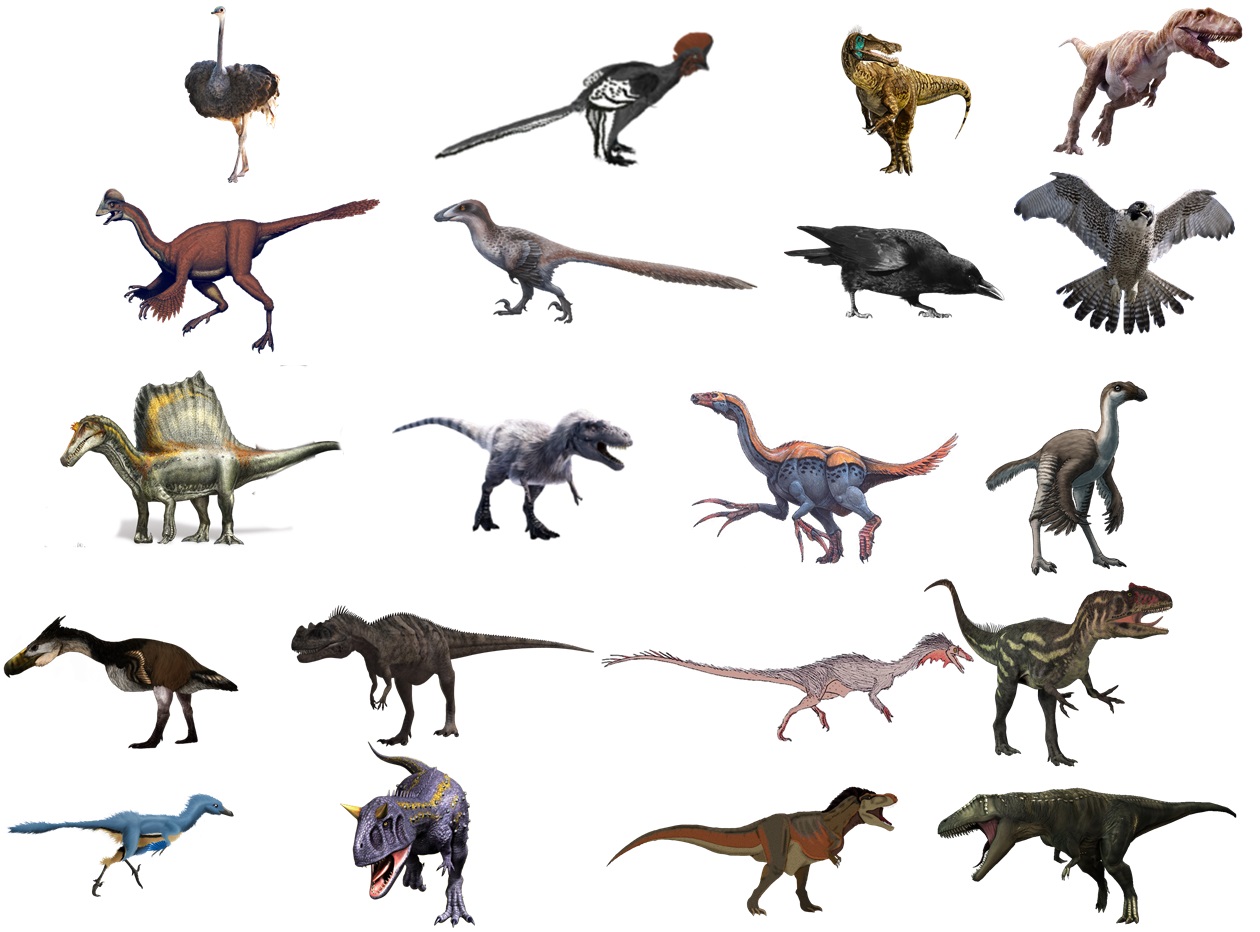 انواع دایناسورها