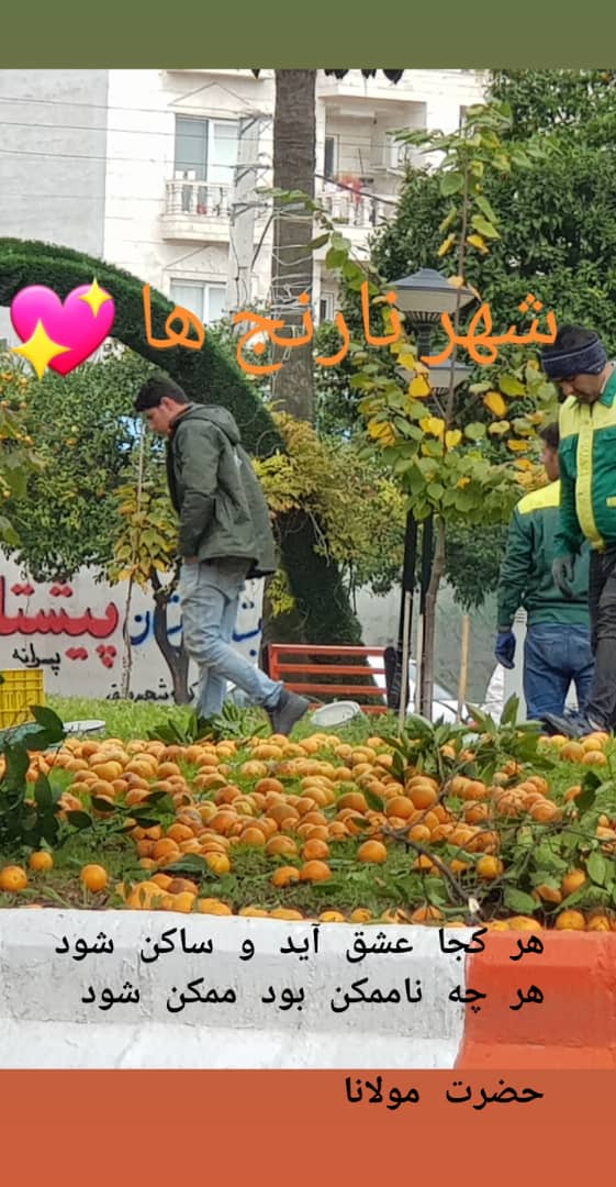 ساری شهر نارنج ها 