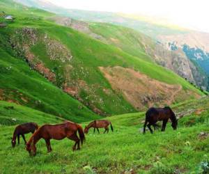 روستای رویایی سوباتان روستای رویایی سوباتان