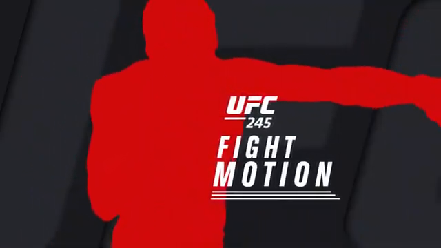 مبارزات به صورت اهسته شده: UFC 245 Fight Motion