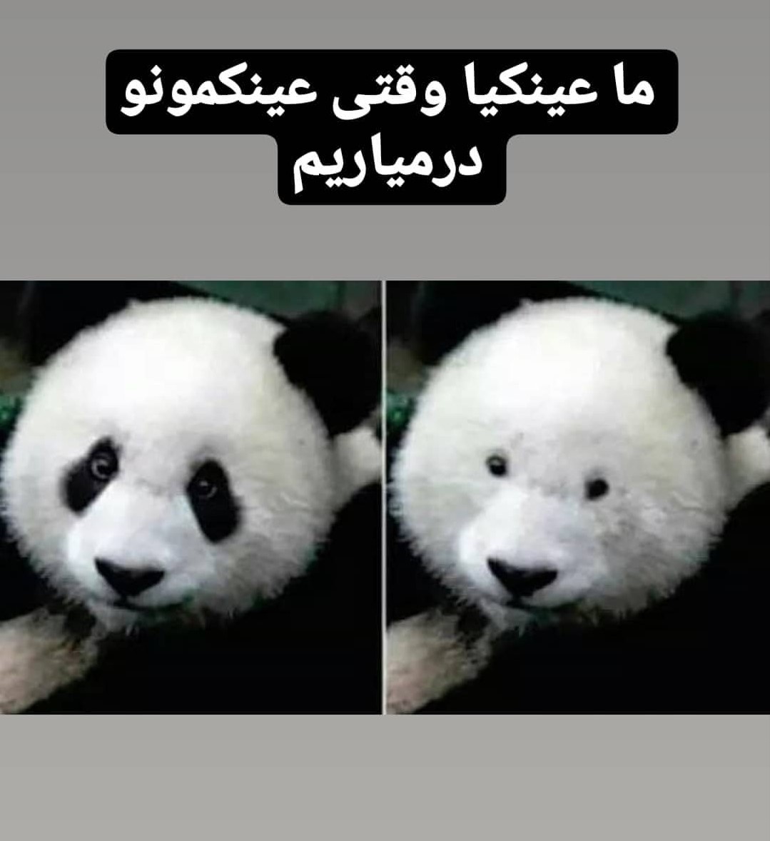 <strong>عینکی</strong> ها