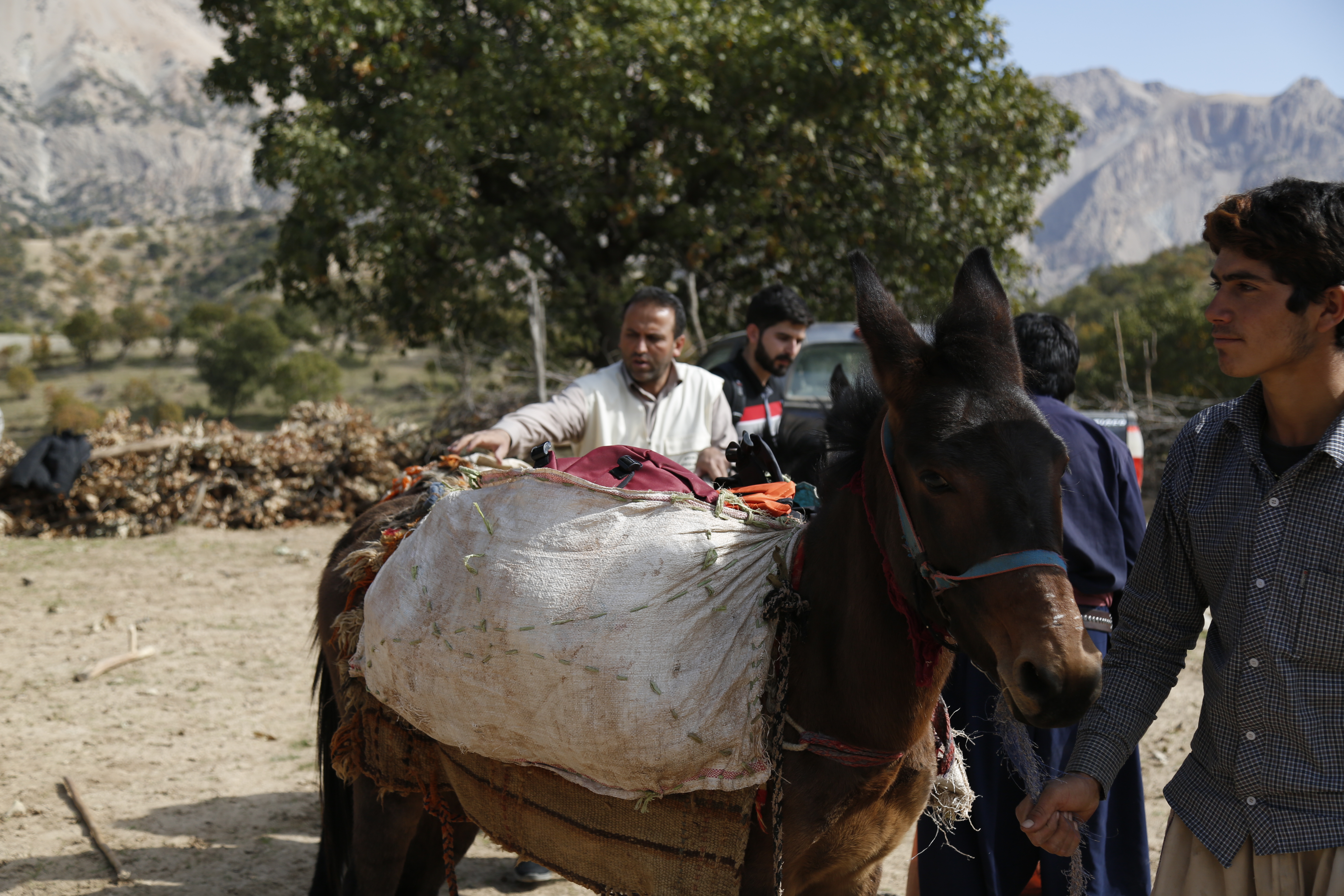 سفر به لیروک