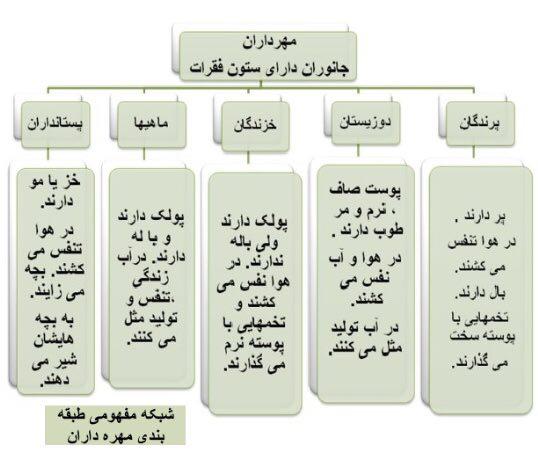 علوم