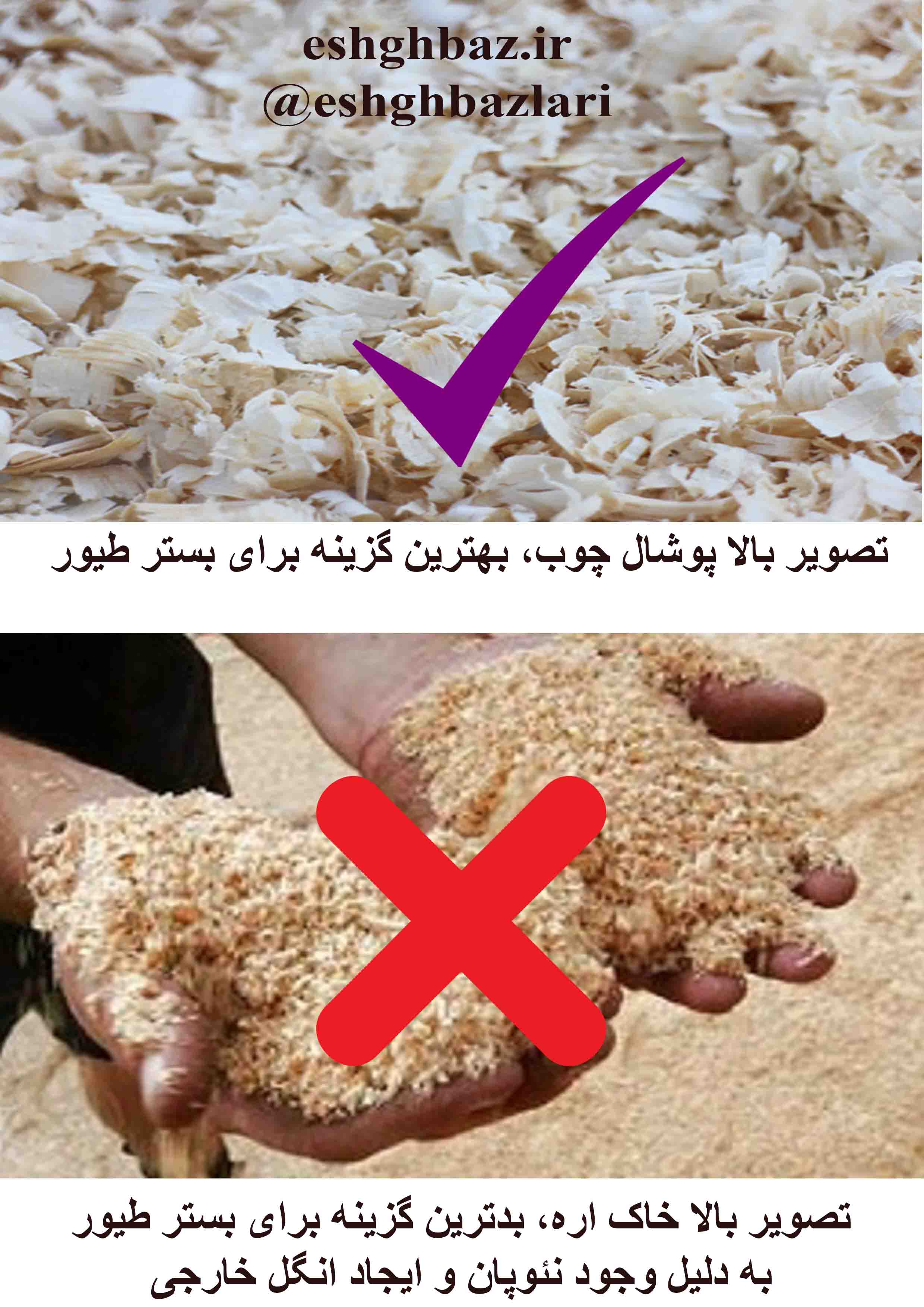 پوشال چوب برای بستر طیور