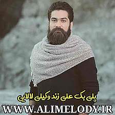 پلی بک علی زندوکیلی بنام لالایی