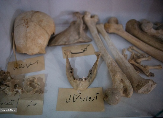 تحصیل
