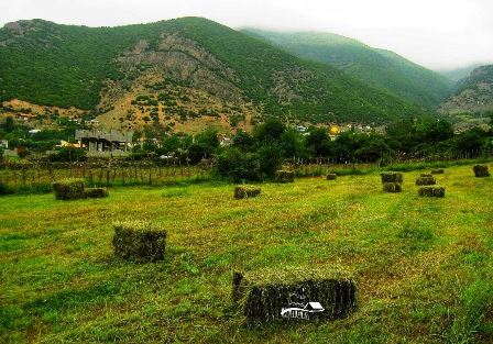 روستا