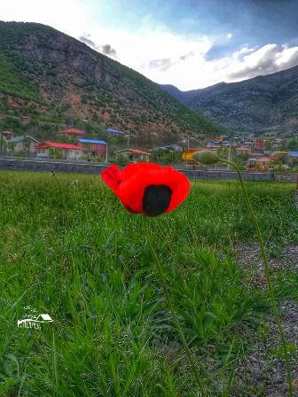 روستا
