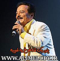 پلی بک رایگان شاهرخ یه مسافر