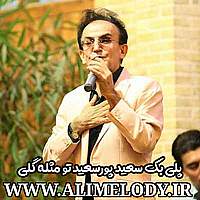 پلی بک سعید پورسعید تو مثله گلی