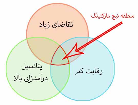 بازار جاویژه بازاریاب فضای مجازی 