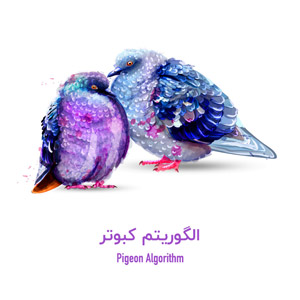 pigeon algorithm
