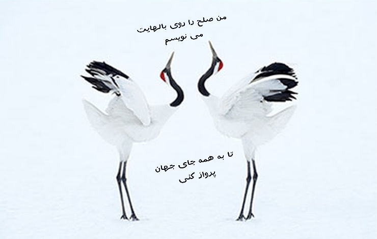 صلح