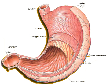 <strong>سوال</strong> 40