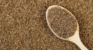  زیره سیاهزیره سیاه برای لاغریزیره سیاه به انگلیسیزیره سیاه در بارداریزیره سیاه چه خواصی داردزیره سیاه و لاغریزیره سیاه و بارداریزیره سیاه کوهیزیره سیاه و فشار خون 
