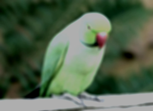مرحله دهم