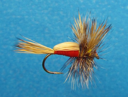 ماهیگیری با پشه | پشه ها و کاربرد آنها