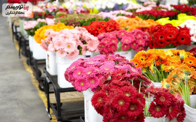 بازار گل محلاتي