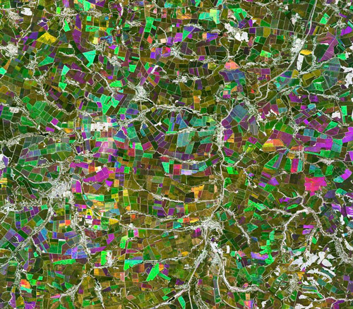 استخراج نقشه گیاهان زراعی از تصاویر ماهواره ای
