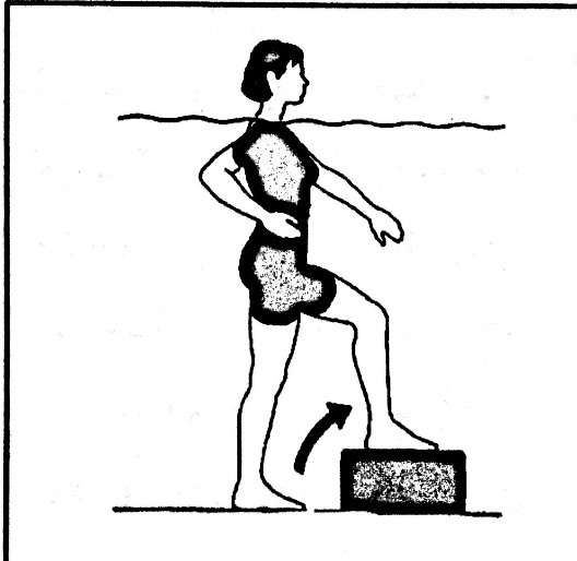 تمرین در آب برای زانو - حرکات آب درمانی زانو - حرکات ورزشی زانو در استخر
